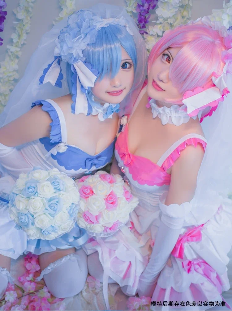 Anime Re: Leven in een Andere  - Anime Cosplay Rem recensie en prijs