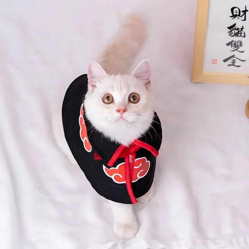 Grappige honden- en kattenmant - Naruto Headband Metal recensie en prijs