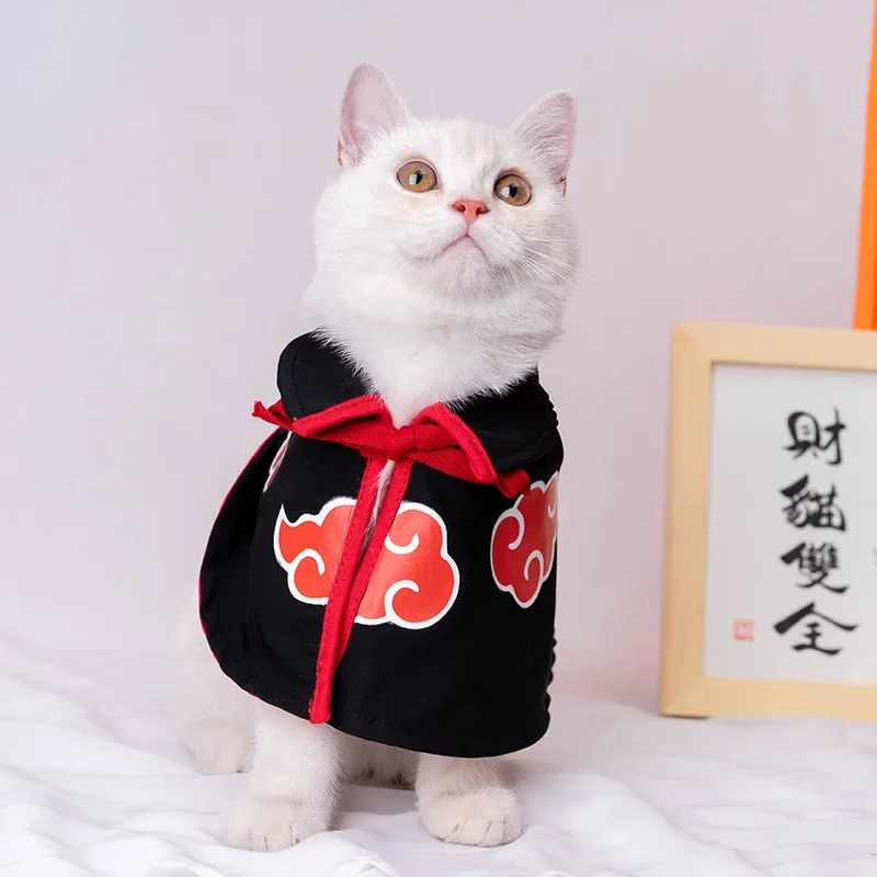 Grappige honden- en kattenmant - Naruto Headband Metal recensie en prijs